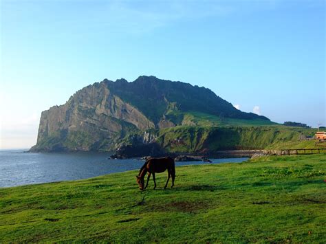 인천 대 제주: 두 섬의 문화적 대화